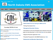 Tablet Screenshot of ndemsa.org